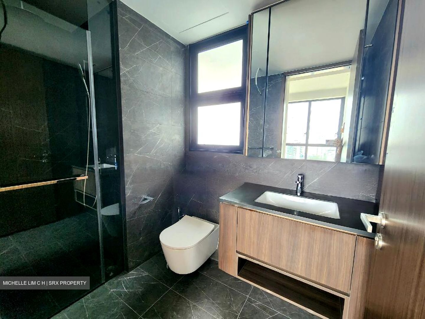 Kopar At Newton (D9), Apartment #474083881